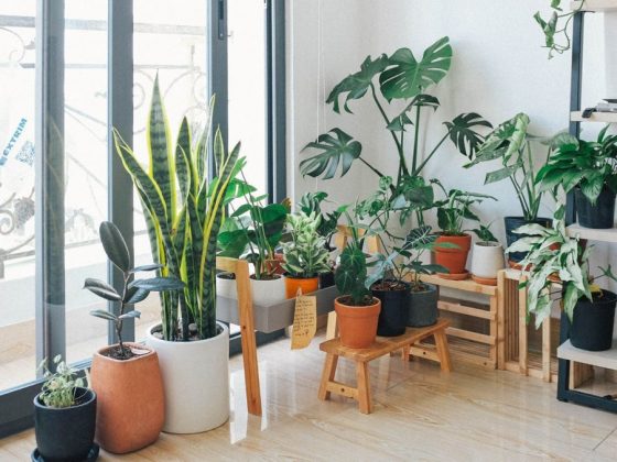 Inspiratie voor groen in je interieur