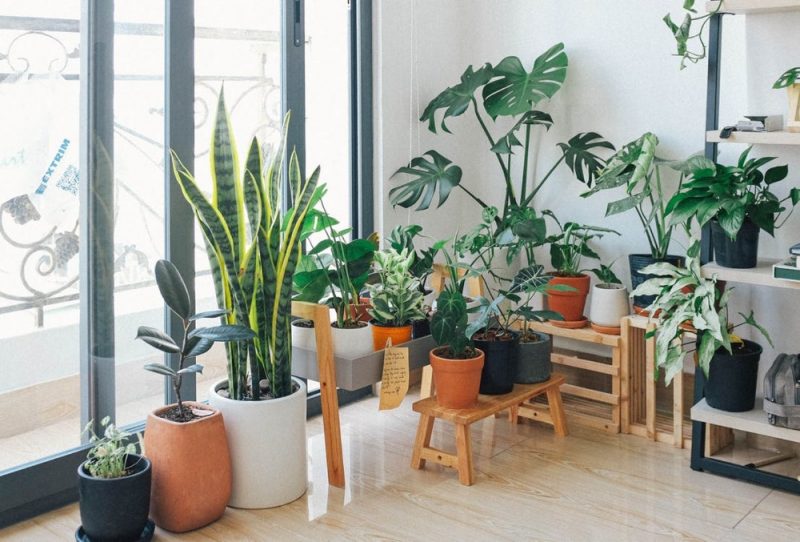 Inspiratie voor groen in je interieur